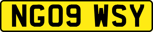 NG09WSY