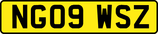 NG09WSZ