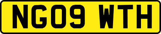 NG09WTH