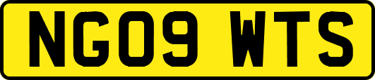 NG09WTS