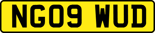 NG09WUD