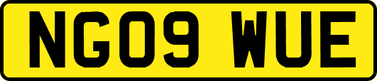 NG09WUE