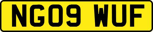 NG09WUF