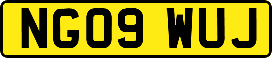 NG09WUJ