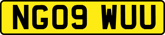 NG09WUU