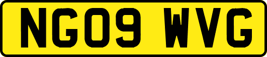 NG09WVG