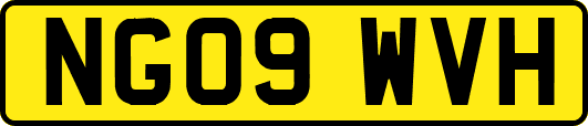 NG09WVH
