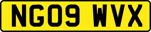 NG09WVX