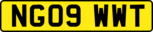 NG09WWT