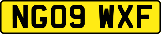 NG09WXF