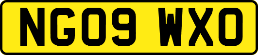 NG09WXO