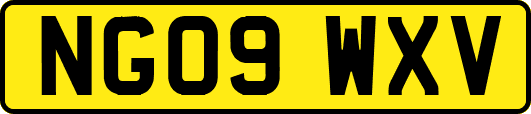 NG09WXV