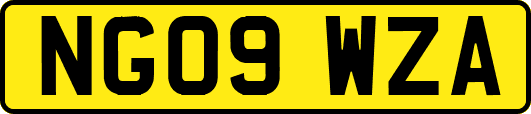 NG09WZA