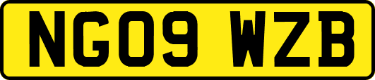 NG09WZB