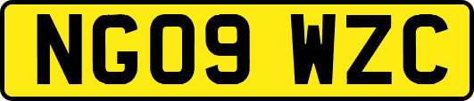 NG09WZC