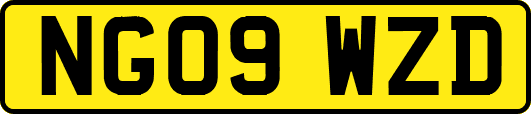 NG09WZD