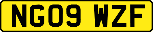 NG09WZF