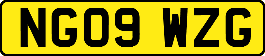NG09WZG