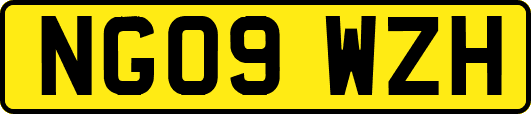 NG09WZH