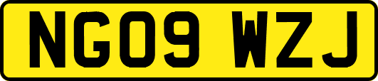 NG09WZJ