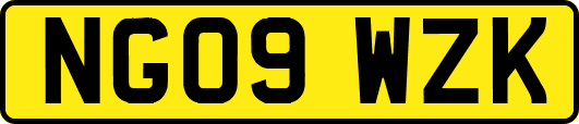 NG09WZK