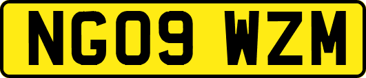 NG09WZM