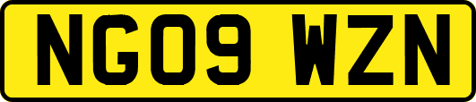 NG09WZN