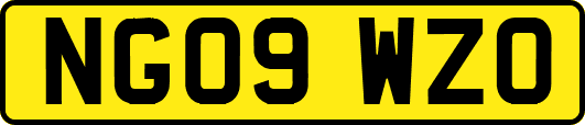 NG09WZO