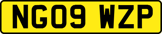 NG09WZP