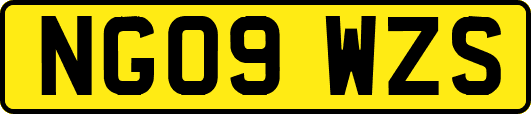 NG09WZS