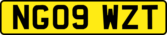 NG09WZT