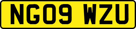 NG09WZU