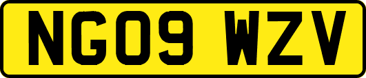 NG09WZV