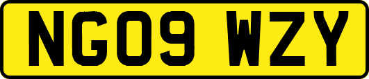 NG09WZY