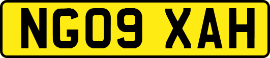 NG09XAH