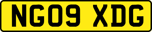 NG09XDG