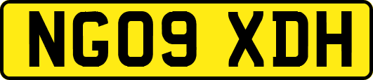 NG09XDH