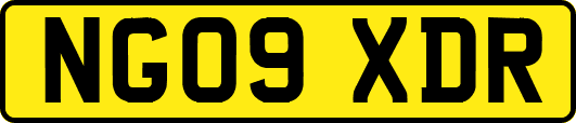 NG09XDR