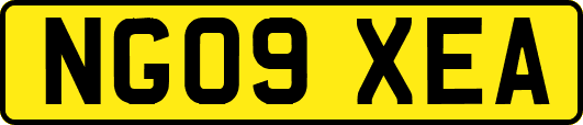 NG09XEA