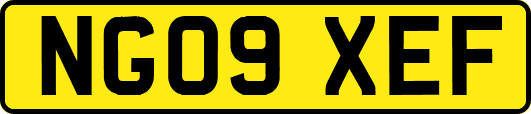 NG09XEF