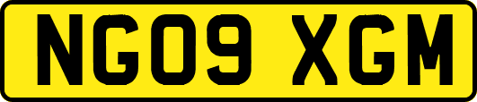 NG09XGM