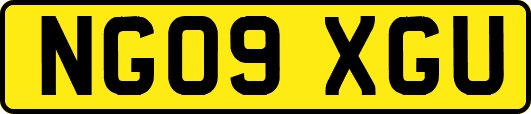 NG09XGU
