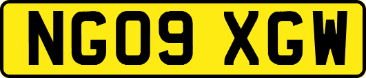 NG09XGW