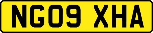 NG09XHA
