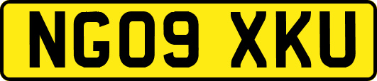 NG09XKU