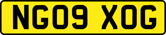 NG09XOG
