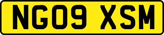 NG09XSM