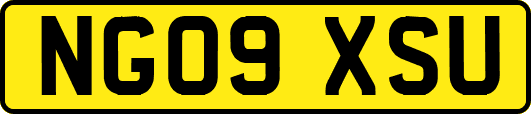 NG09XSU