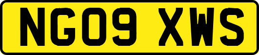 NG09XWS