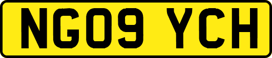 NG09YCH